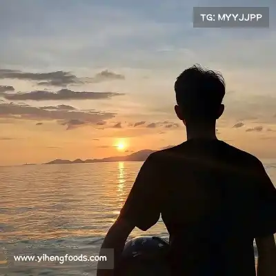 韦保易
